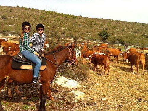 בשביל האושר - סוסים וריינג'ר